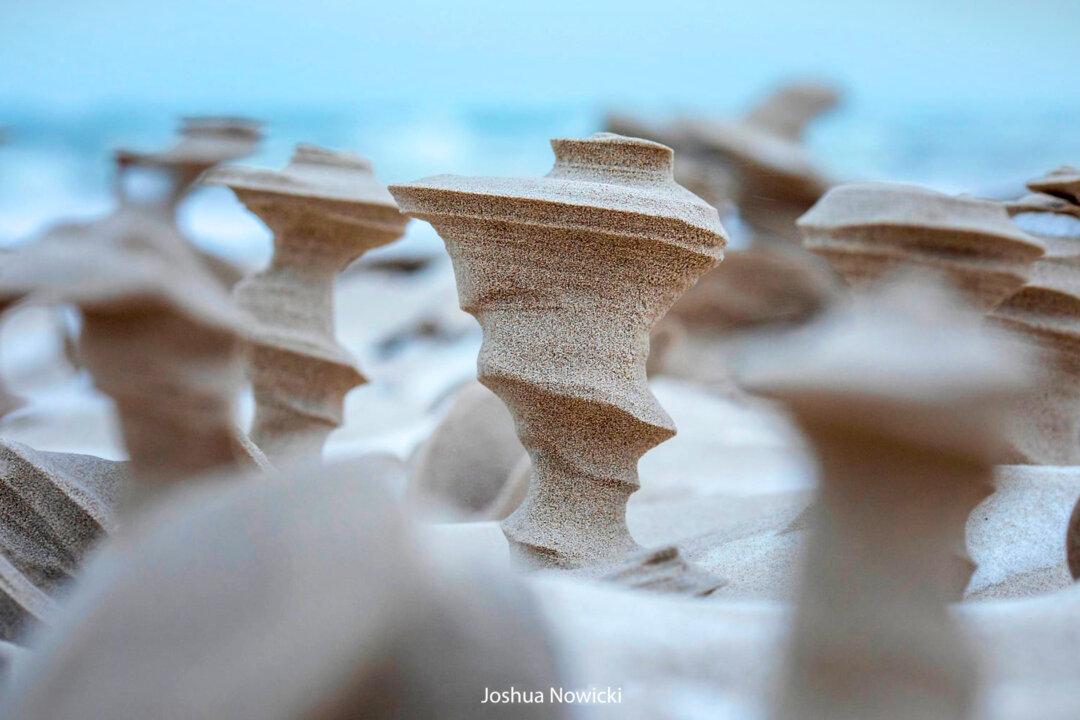 Photographer Captures Otherworldly Sand Pillars Sculpted by the Wind on Shores of Lake Michigan—And the Shots Are Surreal