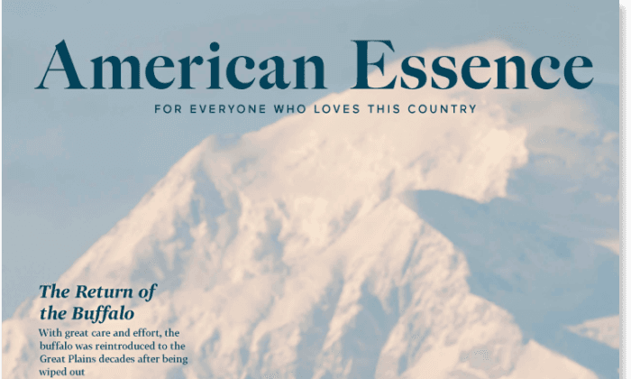 American Essence Magazine - Free Issue