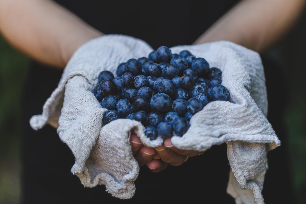 7 Proven Reasons to Eat More Blueberries
