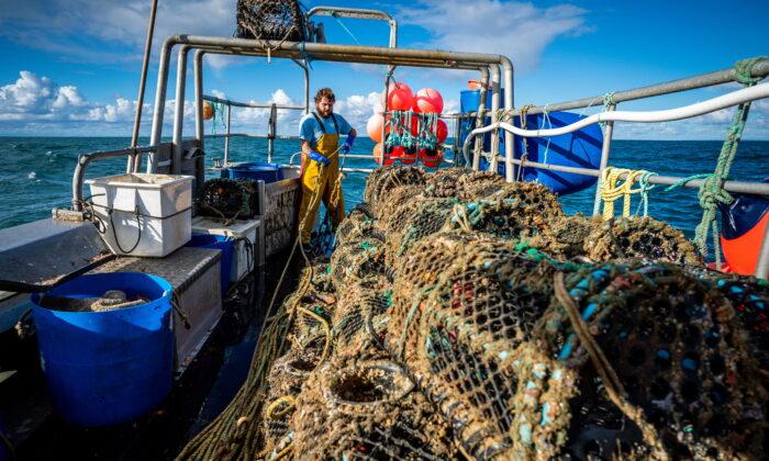 Industry Worried That New Medical Requirements Will Ban Overweight Fishermen