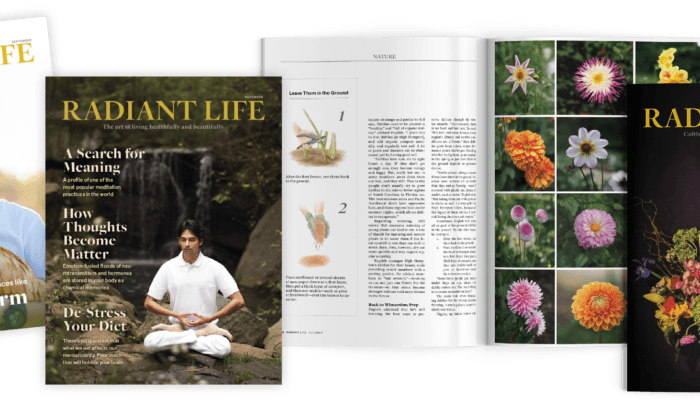 Radiant Life Magazine - All Editions