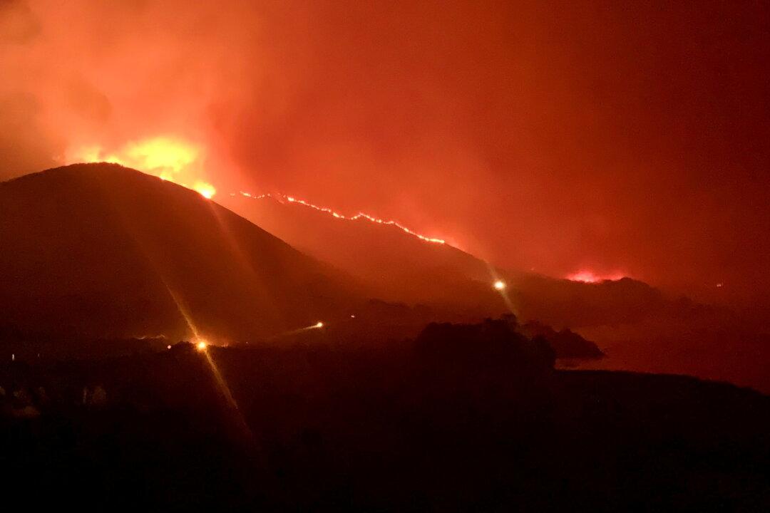 Red Tape Stokes Devastating Wildfires: Report