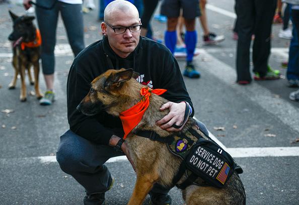 Understanding how dogs process language can help train service dogs. (Photo by Leigh Vogel/Getty Images for A+E)