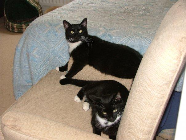 Elsa with her sibling, Benny. (Courtesy of Ruth Armstrong)