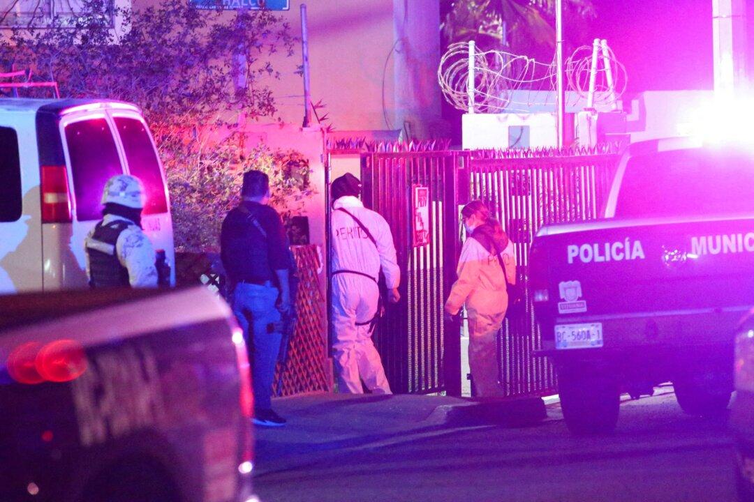 Mexican Reporter Killed, Had Told President She Feared for Her Life