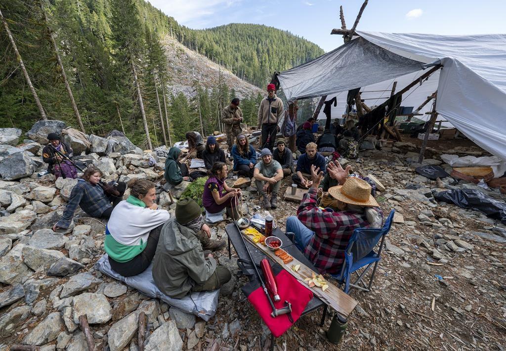 BC Appeal Court Extends Injunction Against Protests at Fairy Creek Until September