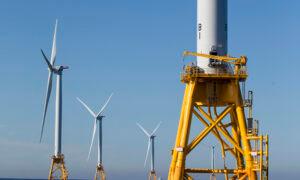Big Wind Projects Moving Forward Despite Insufficient Research on Threat to Marine Life, Biden Admin Study Finds
