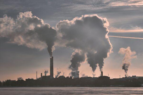 Air pollution can have an effect on a persons sense of smell. (Maxim Tolchinskiy/Unsplash)