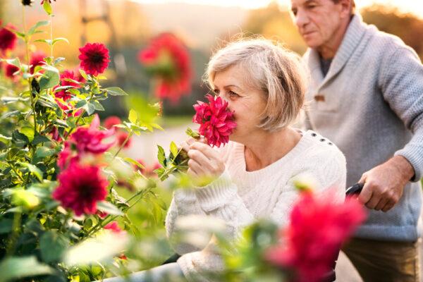  In a recent study, more than half of between the ages of 65 and 80 had some degree of loss of smell. (Shutterstock)
