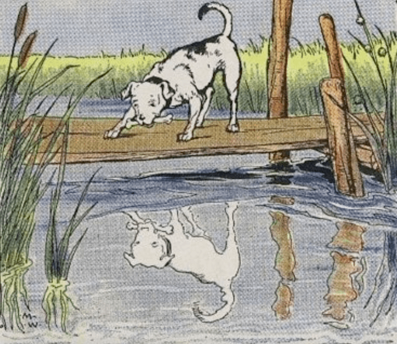 "The Dog and His Reflection" illustrated by Milo Winter, from "The Aesop for Children," 1919. (PD-US)