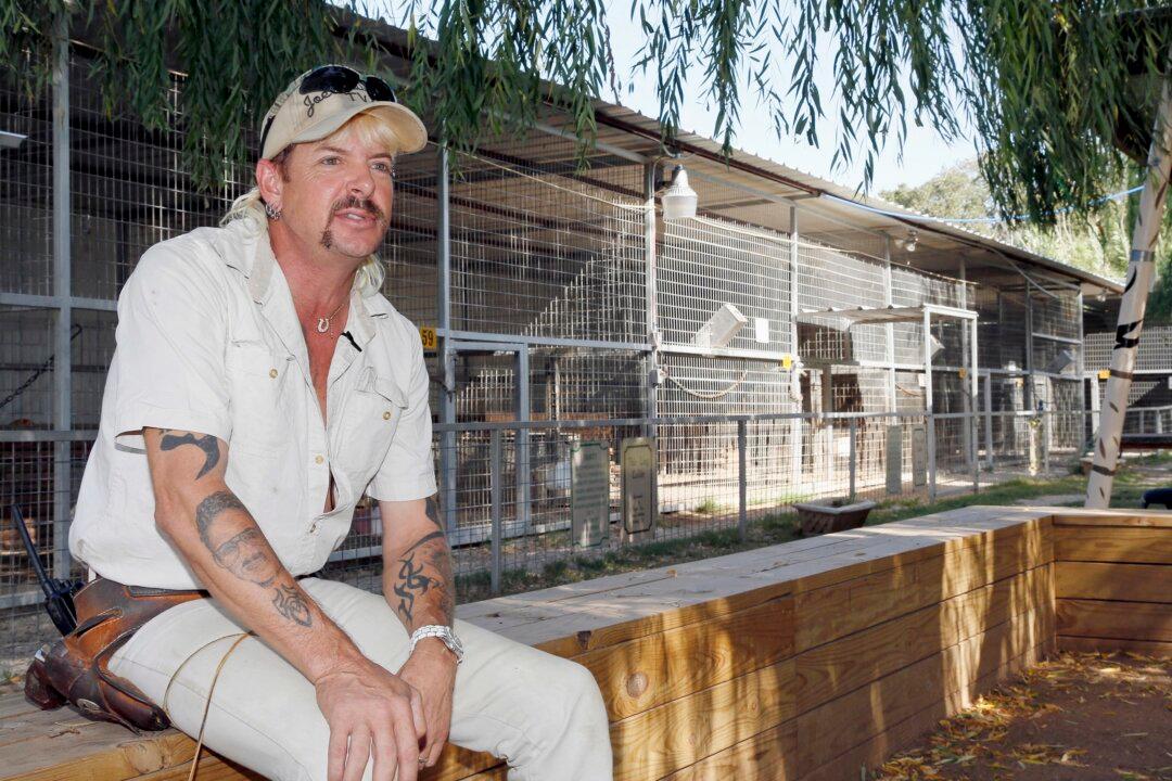 Tiger Kills Oklahoma Animal Handler and Former Associate of ‘Tiger King’ Star