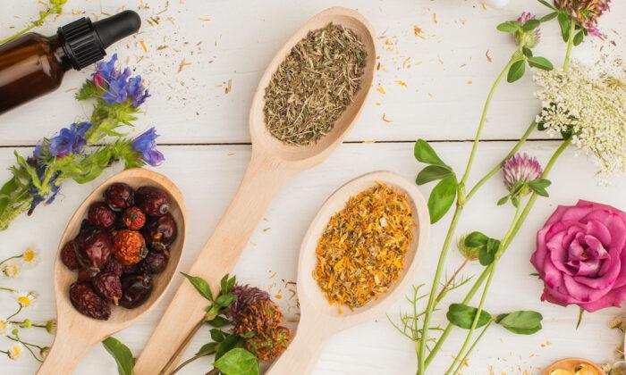 How to Craft a Natural Home Medicine Kit