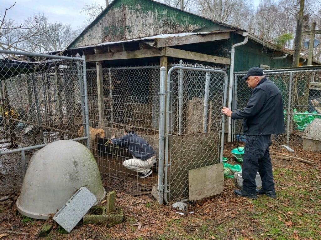 47 Dogs, 14 Puppies Rescued from ‘Inhumane Living Conditions’ Near Outer Banks