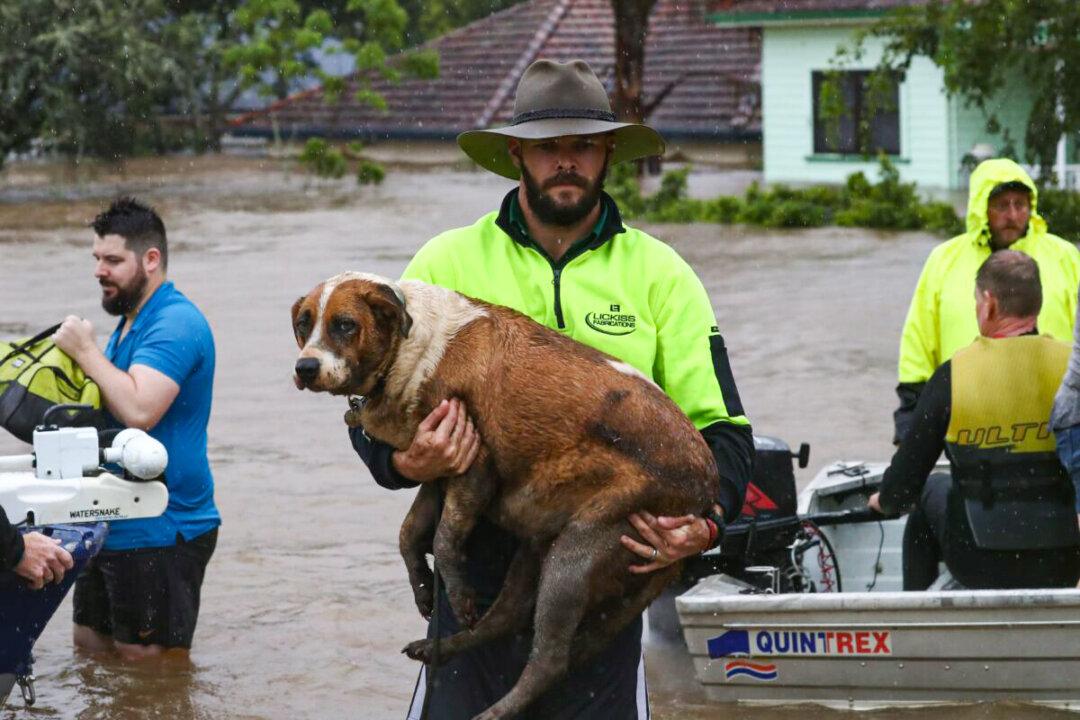 Tens of Thousands of Australians Evacuated, Hundreds Missing as ‘Unprecedented’ Flooding Hits East Coast