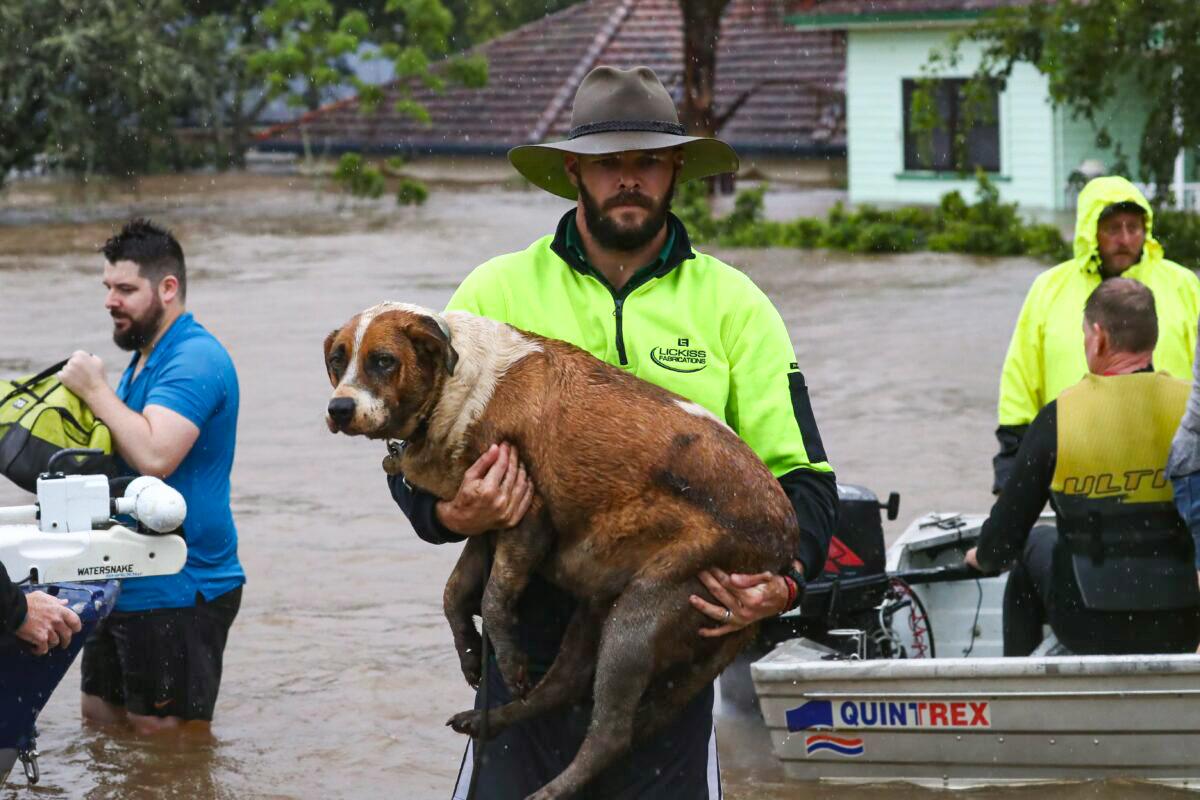 Tens of Thousands of Australians Evacuated, Hundreds Missing as ‘Unprecedented’ Flooding Hits East Coast