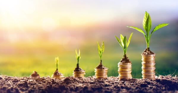Want your money grow? Make a good budget plan first. (Romolo Tavani/Shutterstock)