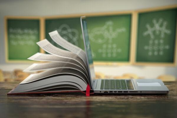 Learning is important for everybody in the world. (Maxx-Studio/Shutterstock)
