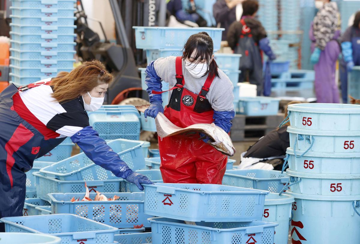 Japan, Russia Reach Agreement on Fishing Quotas Amid Ukraine-Related Sanctions