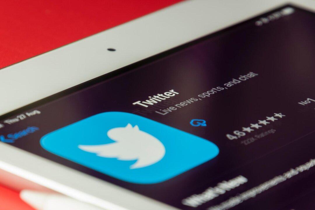 Elon Musk and Dogecoin Co-Creator Say Twitter Needs to Take Urgent Action Against Crypto Scams