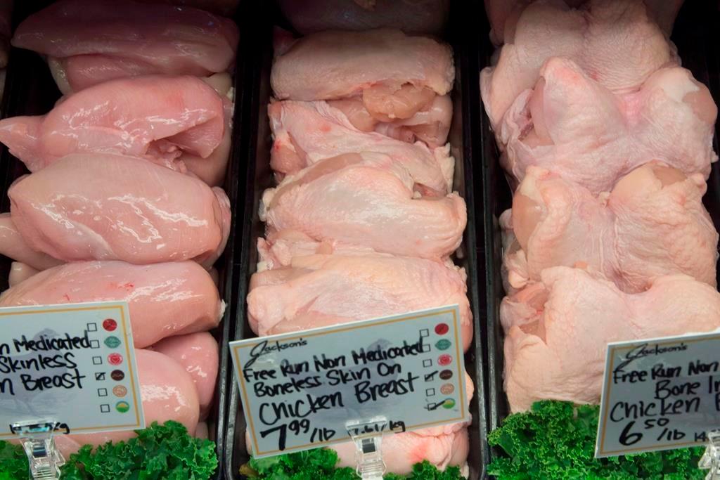 Canada Faces Some Trade Restrictions on Poultry Due to Bird Flu Found in Nova Scotia