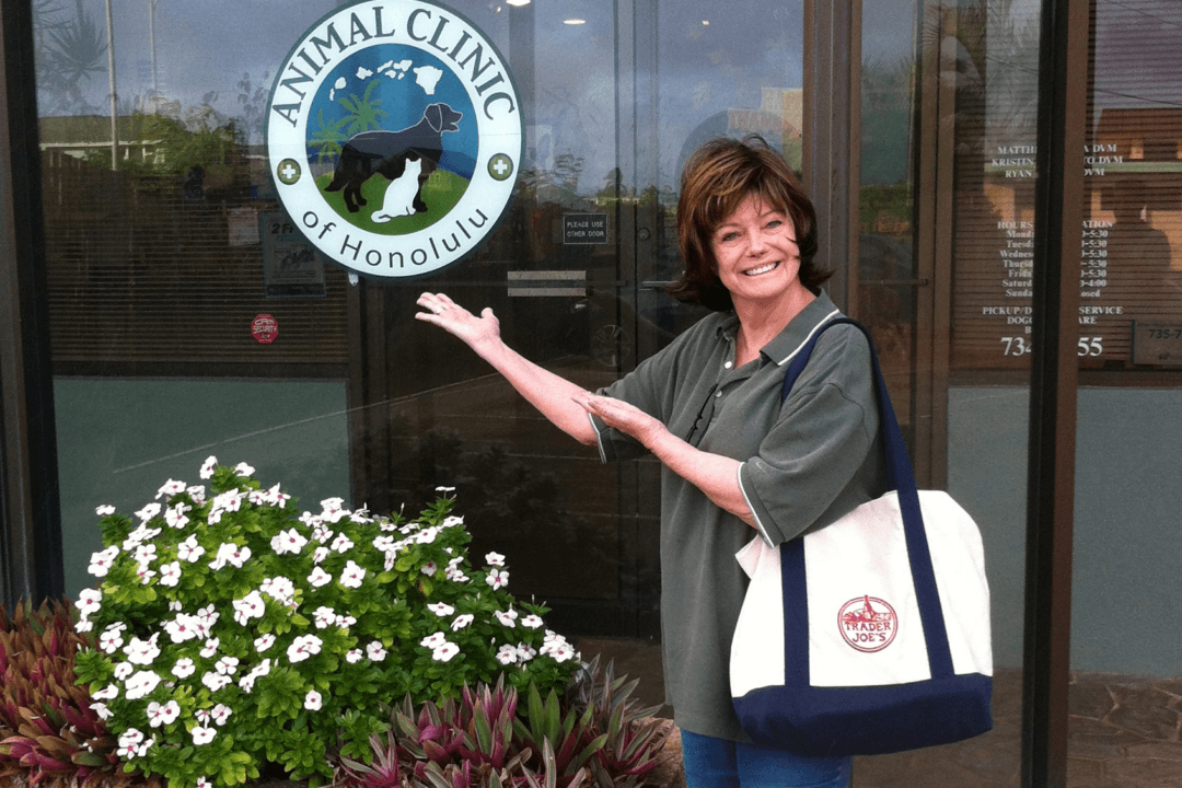 ‘Everyday Heroes’ at the Hawaii Cat Foundation