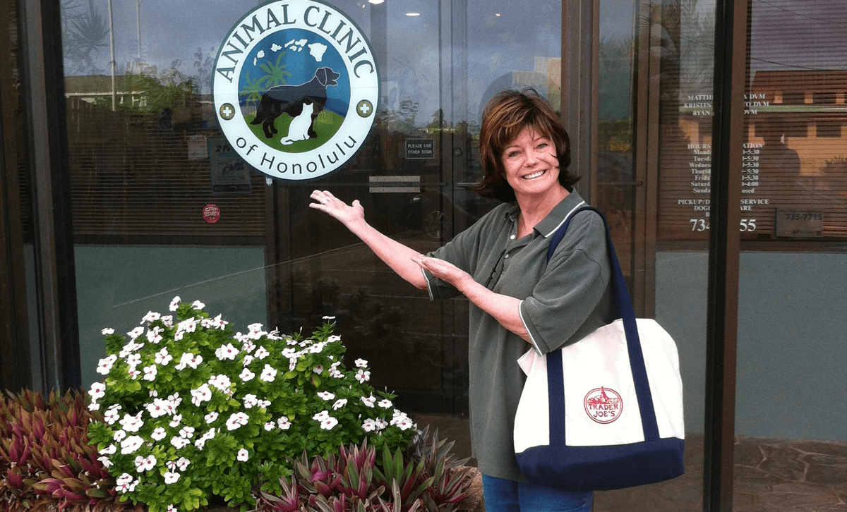 ‘Everyday Heroes’ at the Hawaii Cat Foundation