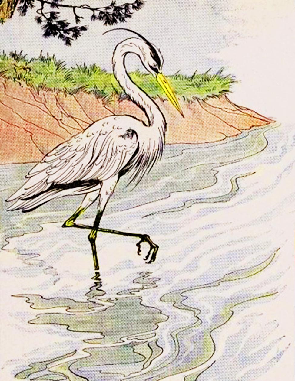 “The Heron” illustrated by Milo Winter, from “The Aesop for Children,” 1919. (PD-US)