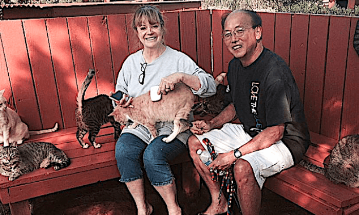 Before a donation was made to create a cat sanctuary in 2001, adoptable domesticated cats lived at the home of Christin and Cary Matsushige. Up to 60 cats were sheltered at their house at one point. (Photo courtesy Cary Matsushige)