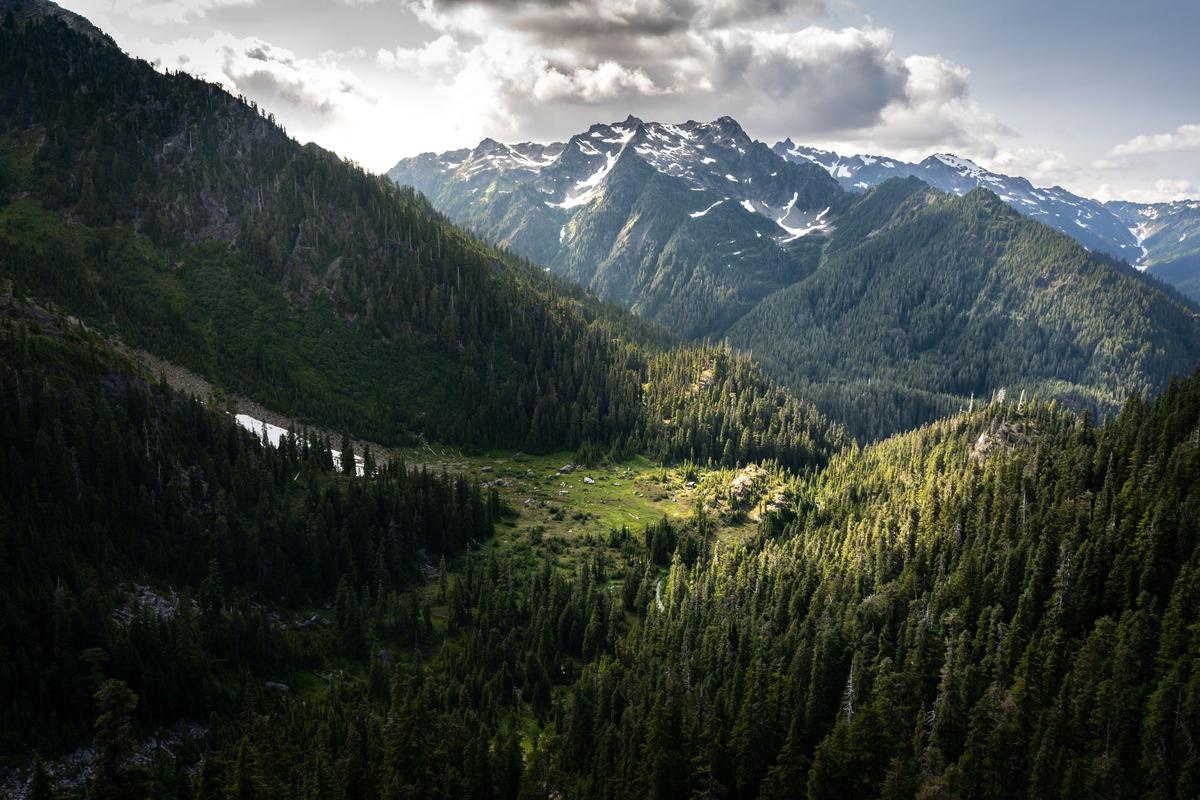 A sunlight forest valley in the backcountry of the Olympic mountains. (Courtesy of Nate Brown)