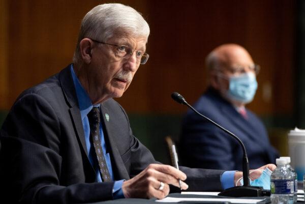 Dr. Francis Collins, director of the National Institutes of Health and Dr. Robert Redfield (R), director of the Centers for Disease Control and Prevention, testify at a Senate hearing in Washington on July 2, 2020. (Saul Loeb-Pool/Getty Images)