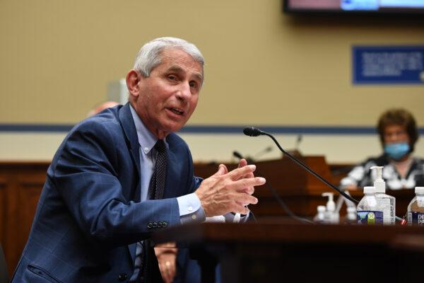 Dr. Anthony Fauci, director of the National Institute for Allergy and Infectious Diseases, testifies at a House hearing in Washington on July 31, 2020. (Kevin Dietsch-Pool/Getty Images)