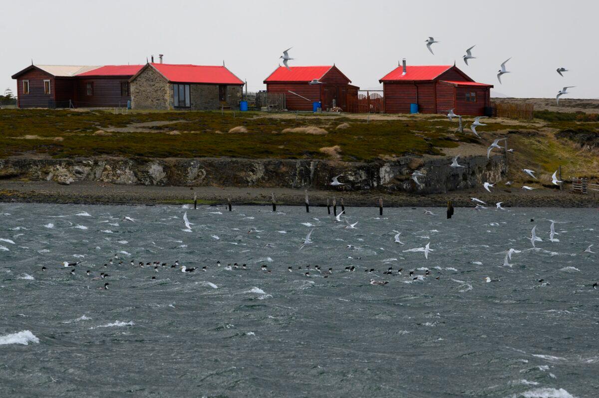 View of Darwin, Falkland islands (Malvinas) on Oct.10, 2019. (Pablo Porciuncula Brune/AFP via Getty Images)