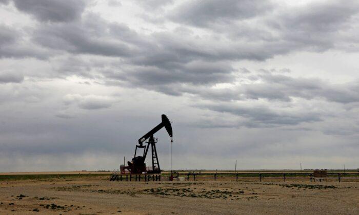 Oil Prices Recoup Losses as Russia-Ukraine Tensions Stay High