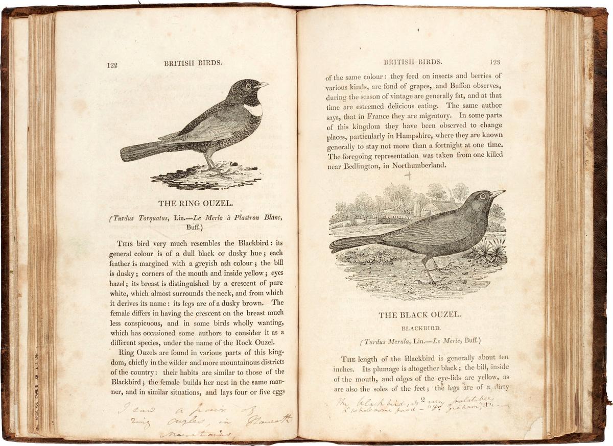 Brontë family copy of Thomas Bewick’s "A History of British Birds." (SWNS)