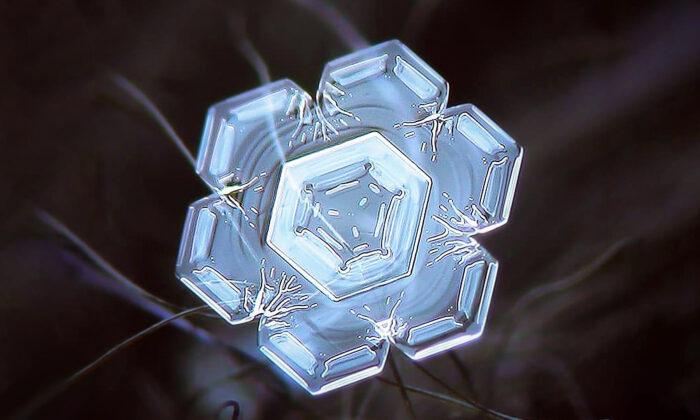 Macrophotographer Snaps Snowflakes Up Close—And the Results Over Past 14 Winters Are Magical