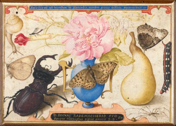"Vase of Roses, Quince, Butterflies and Insects, Dedicated to Johan Radermacher," 1589, by Joris Hoefnagel. Watercolor, paper on panel; 4 5/8 inches by 6 3/8 inches. Zeeuws Museum, in Middelburg, Netherlands. (Zeeuws Museum, Middelburg)