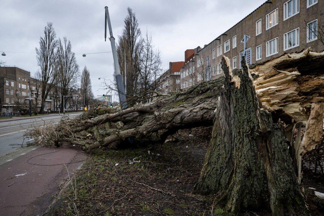 Storm Eunice Batters Europe, Killing at Least 9