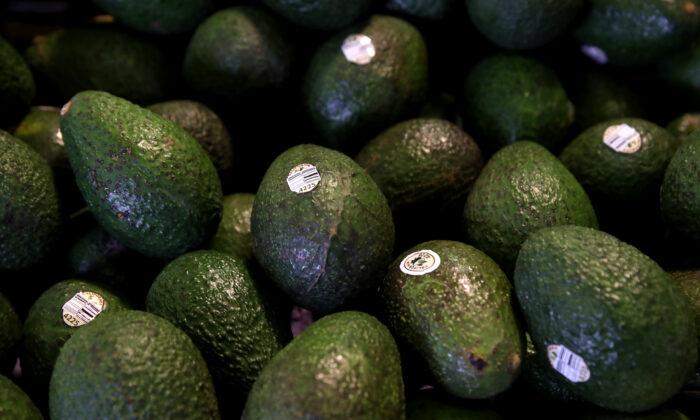 The Avocado Ban Shows the High Cost of Non-Tariff Protectionism
