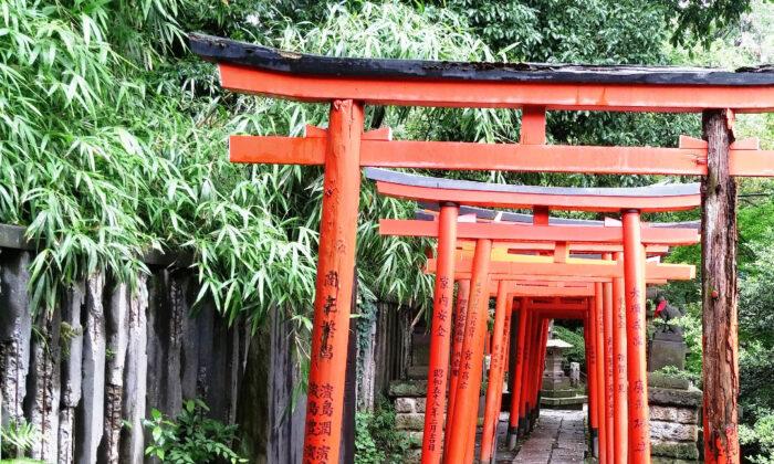 Walk Japan to Explore the Soul of a Country