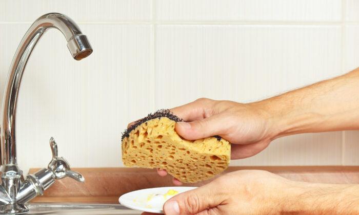 Why Your Kitchen Sponge Is so Gross