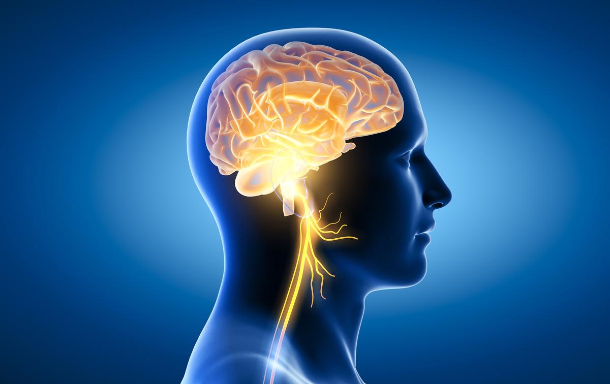 The Vagus Nerve: A New Frontier of Brain–Body Medicine