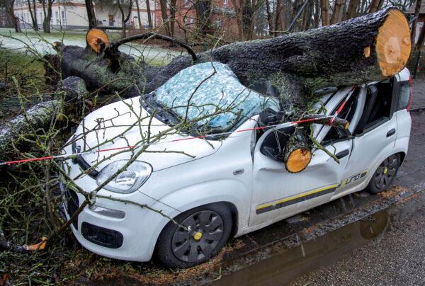 A car is destroyed by a fallen tree after a storm in Schwerin, Germany on Feb. 21, 2022. (Jens Buettner/dpa via AP)