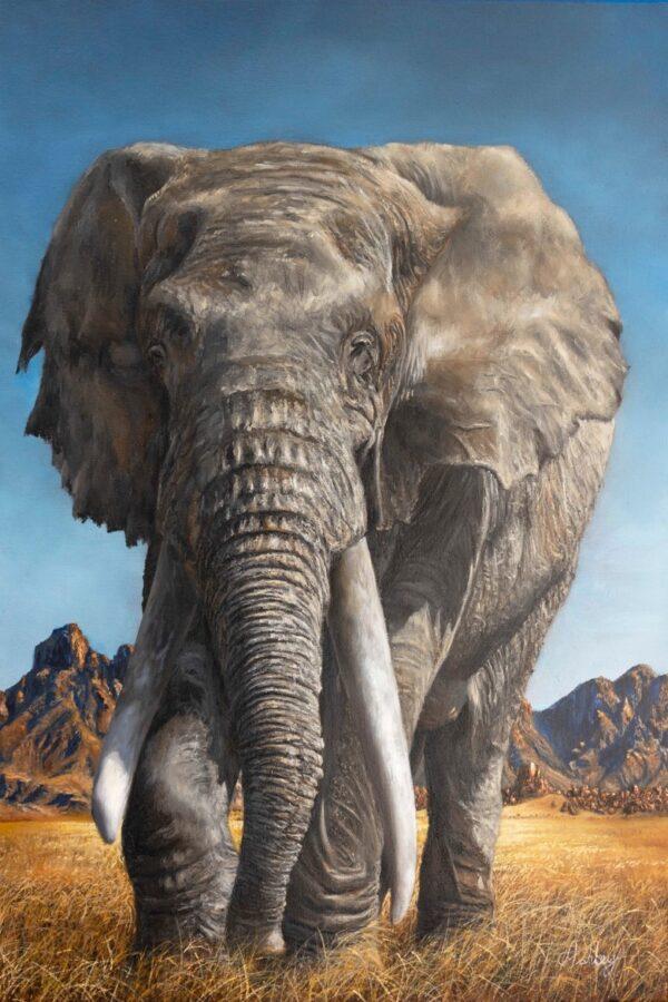 "African Elephant" by Ash Davies. Oil on canvas; 30 inches by 20 inches. (Courtesy of Andrew Davies)