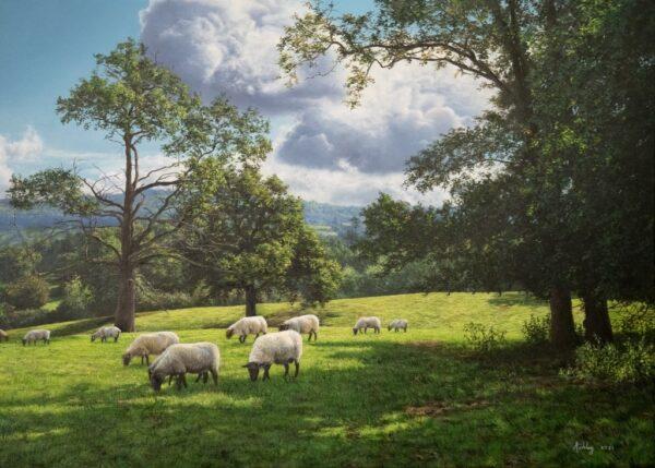 "Cotswold Sheep" by Ash Davies. Oil on canvas; 24 inches by 28 inches. (Courtesy of Andrew Davies)