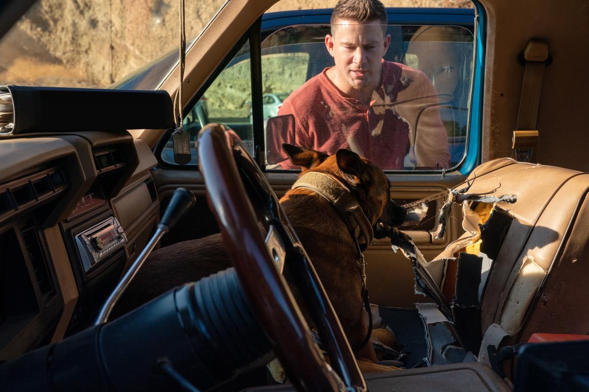 Lulu (Britta, Lana, or Zuza) demolishes Jackson Briggs's (Channing Tatum) truck upholstery, in "Dog." (Metro-Goldwyn-Mayer/United Artists Releasing)