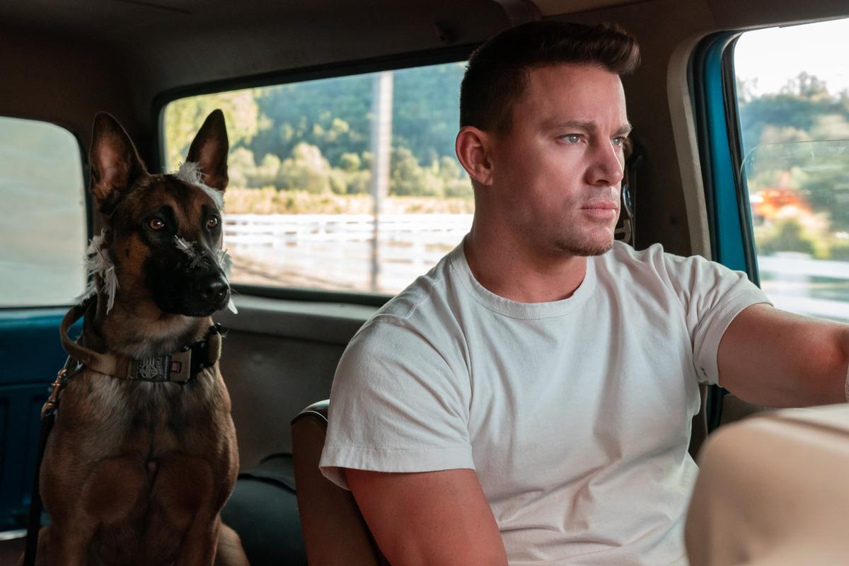 Lulu (played by either Britta, Lana, or Zuza) and Jackson Briggs (Channing Tatum) drive from Montana to Arizona, in "Dog." (Metro-Goldwyn-Mayer/United Artists Releasing)
