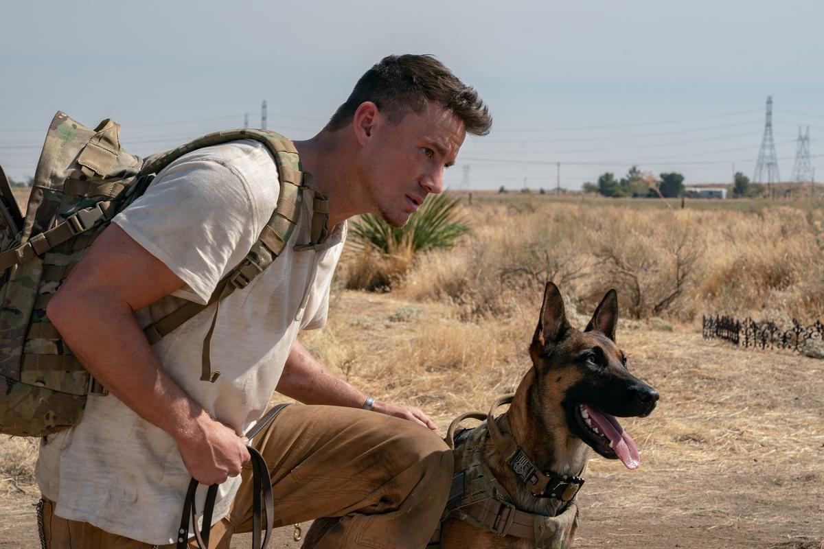 Jackson Briggs (Channing Tatum) and Lulu (Britta, Lana, or Zuza) get ready to attend the funeral of Lulu's former handler, in "Dog." (Metro-Goldwyn-Mayer/United Artists Releasing)