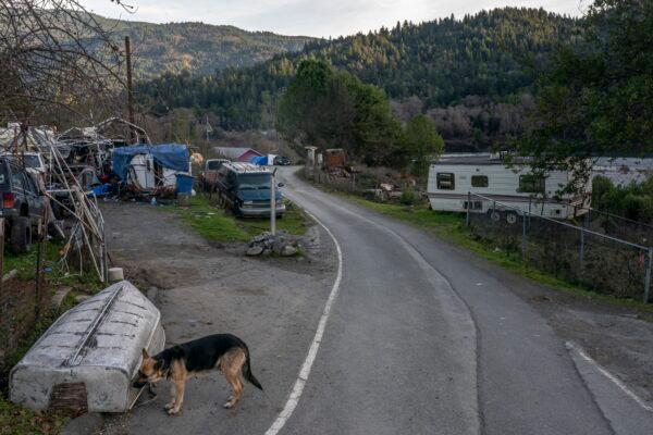 The End of Road along the Yurok Reservation, Calif., on Jan. 19, 2022, where police received and investigated reports of Emmilee Risling staying before her disappearance in October 2021. (Nathan Howard/AP Photo)