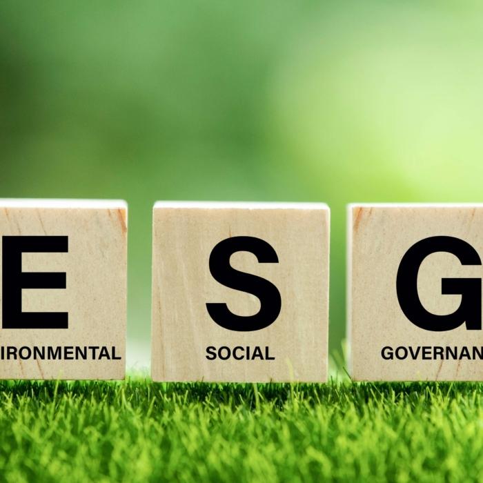 Canada Must Wake Up to the Devastating Impacts of DEI and ESG