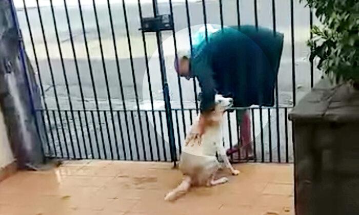 VIDEO: Adorable Dog Can’t Hide Her Joy Seeing Homeless Man Who Visits Her Each Day